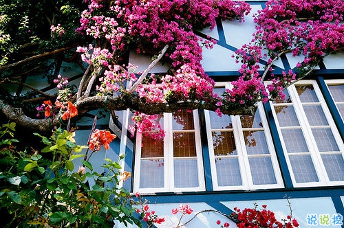 2019晚安勵(lì)志說說帶圖片 能夠給人安全感的句子經(jīng)典勵(lì)志7