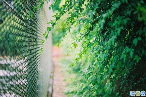 心好累的傷感說說非主流帶圖片 喜歡一個(gè)人卻得不到的悲傷說說2