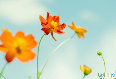 2019四月你好微信唯美說(shuō)說(shuō)帶圖片 3月再見(jiàn)4月你好心情短語(yǔ)14