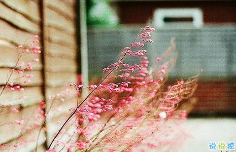 知性女人用的唯美朋友圈說說圖片 剪一段愛的時光永久收藏3