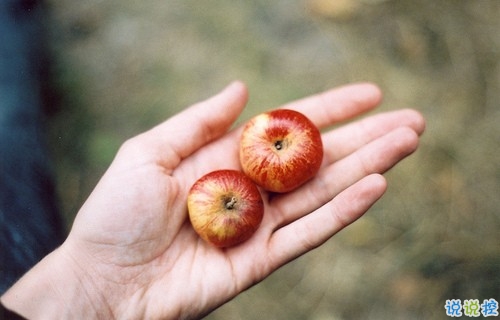 獨(dú)具一格的微信個(gè)性說說帶圖片 每一條都值得收藏10