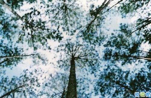 2018關于夢想的哲理句子 2018正能量奮斗的句子2