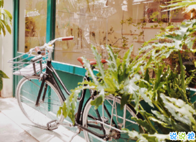 紀(jì)念日的甜言蜜語說說帶圖片 致自己結(jié)婚紀(jì)念日短句1