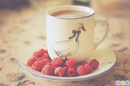 2019微信超文藝說(shuō)說(shuō)加配圖 很流行的文藝范經(jīng)典說(shuō)說(shuō)大全8