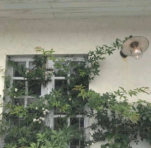 關(guān)于人生和夢想的很現(xiàn)實(shí)的經(jīng)典哲理說說帶圖片13