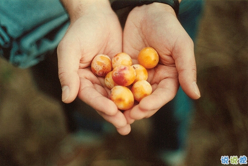 2018最新微信感恩節(jié)說說帶圖片大全 感恩節(jié)心情說說簡(jiǎn)單好聽的7