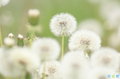 關(guān)于現(xiàn)實(shí)的人生感悟帶圖片 27條值得收藏和學(xué)習(xí)的經(jīng)典說說大全12