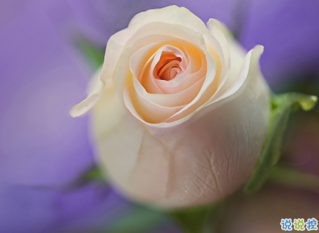 微信朋友圈治愈系早安心語說說 溫暖小清新早安說說大全13