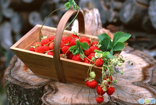 朋友圈曬美食的搞笑說(shuō)說(shuō)帶圖片 關(guān)于吃貨的說(shuō)說(shuō)簡(jiǎn)短精辟201914