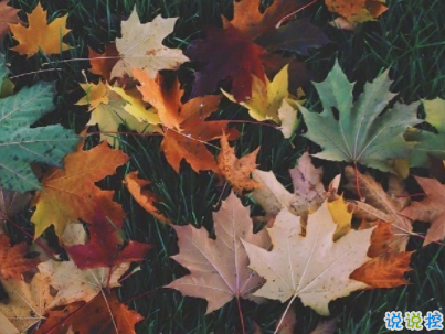 秀恩愛簡短的話高手合集 低調(diào)又強勢的秀恩愛說說配圖7