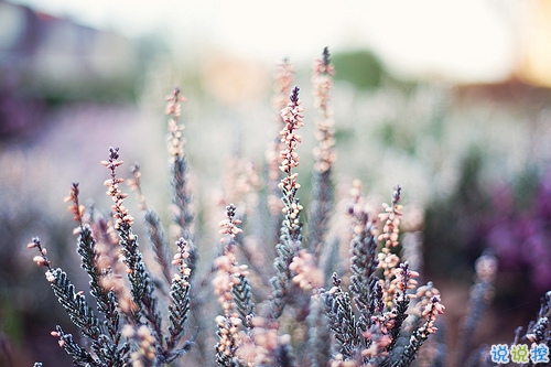 抖音最火爆最肉麻的情話合集 情侶間情話大全聽了起雞皮疙瘩2