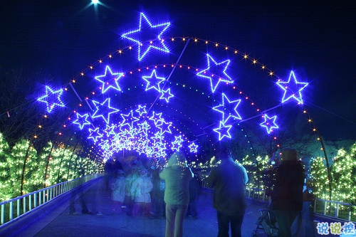 一個(gè)人情緒低落的傷感說(shuō)說(shuō)帶圖片 受過(guò)傷流過(guò)淚的難過(guò)說(shuō)說(shuō)13