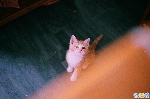 適合發(fā)朋友圈的唯美愛情說說帶圖片 深情有愛意的唯美說說5