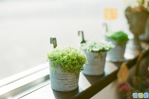 14條經(jīng)典唯美說說配圖 文藝小清新喜歡的唯美說說20182