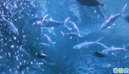 抖音比水還干凈的句子帶圖片精選14條 簡單又干凈的唯美說說配圖12