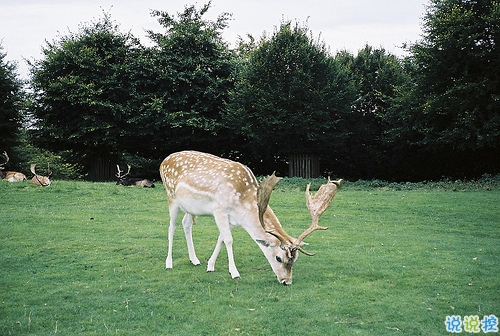 早安周末寫給周末上午的勵志經(jīng)典說說配圖 很勵志經(jīng)典的早安心語語錄20183