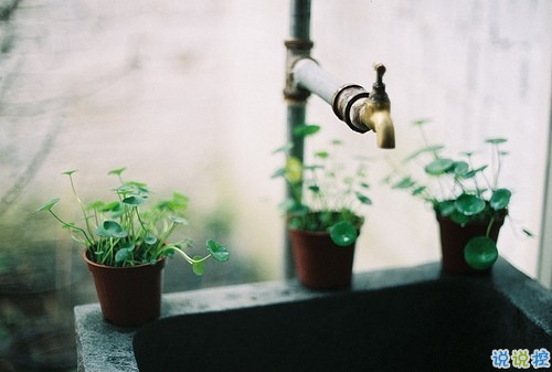 2019最流行的情侶表白說說配圖 文藝范暖心情話帶圖片9