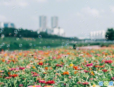 2019五一快樂(lè)心情說(shuō)說(shuō)帶圖片 五一祝福語(yǔ)說(shuō)說(shuō)經(jīng)典語(yǔ)錄13