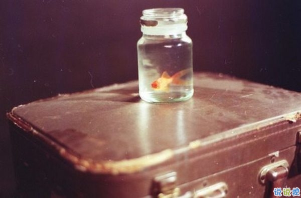 文字控喜歡的簡(jiǎn)單唯美的一句話說說帶圖片 煙塵滾滾一路行來我應(yīng)是迷了路了4