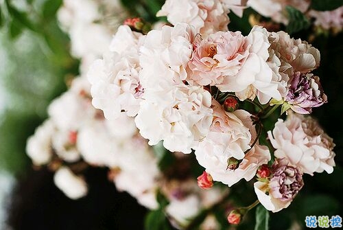 2019心里難受的說說帶圖片 一絲絲難過的朋友圈說說2