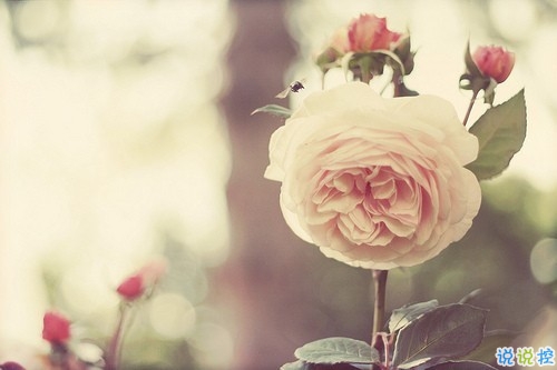 15條值得學(xué)習(xí)的勵(lì)志說(shuō)說(shuō)帶圖片 陽(yáng)光簡(jiǎn)短的勵(lì)志說(shuō)說(shuō)配圖10