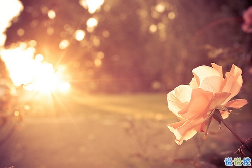 2019關(guān)于春分的微信說說帶圖片 春分節(jié)氣早安祝福語4