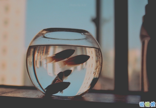 很深情很撩人的情話帶圖片 融化人心的小可愛(ài)女生說(shuō)說(shuō)11