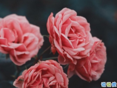 秀恩愛簡短的話高手合集 低調(diào)又強勢的秀恩愛說說配圖2