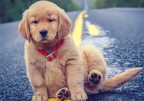 可以戳中中你笑點(diǎn)的搞笑說(shuō)說(shuō)帶圖片15