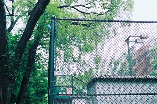 關于人生和愛情的唯美小清新句子帶圖片 我路過萬家燈火而你才是我的歸途14