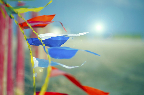 關(guān)于愛(ài)情的一些文藝清新小句子帶圖片 認(rèn)識(shí)你是我今年最大的收獲。6