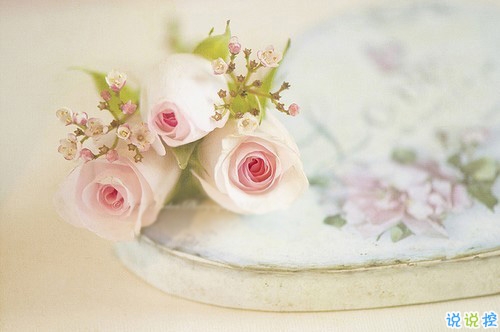 2019告別二月迎接三月勵志說說配圖 三月你好朋友圈早安心語6