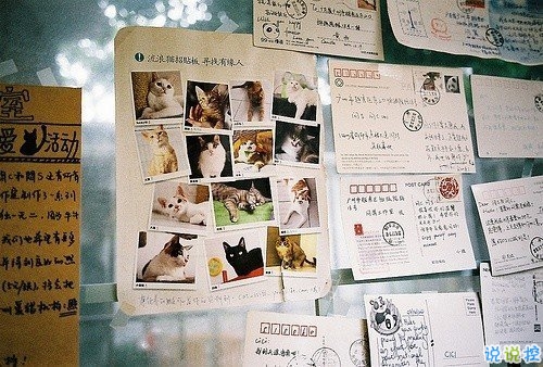 經(jīng)典唯美文藝小清新說(shuō)說(shuō)帶圖片 這人世間本就是寒來(lái)暑往日出日落4