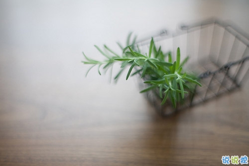 抖音很火的傷感句子催人淚下 不能在一起的傷感句子合集1