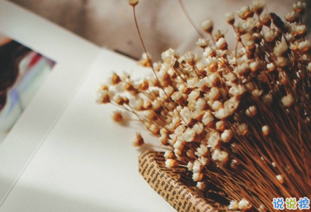 余生還是不要你指教了，我自己過吧6