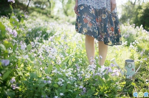 那些旋律和歌詞都能擊中你內心柔軟之處的唯美歌謠4