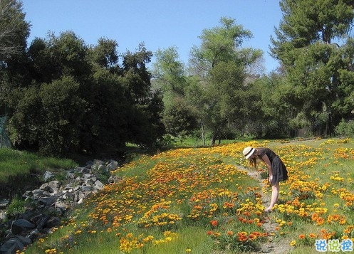 安妮寶貝作品集經(jīng)典語(yǔ)錄摘抄 美文優(yōu)美唯美的語(yǔ)錄大全安妮寶貝1