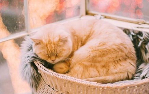 唯美的古風說說帶圖片 喜歡古風的女生可以發(fā)的說說2