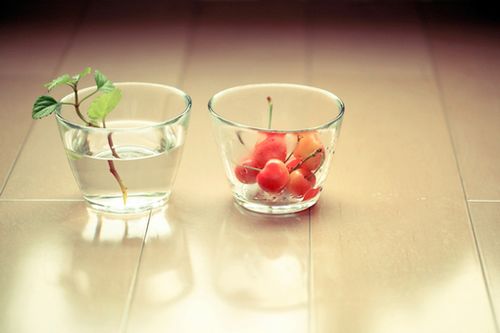 關(guān)于人生生活還有成長的有哲理內(nèi)涵精辟的說說帶圖片15