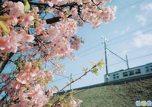 很特別的早安說說大全帶圖片 朋友圈早安心語獨(dú)一無二吸引人3