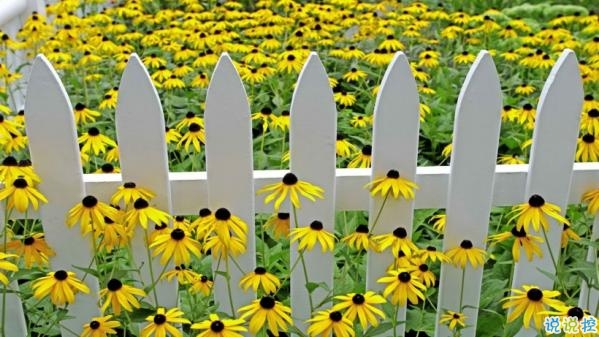 心里甜蜜蜜的愛情說說帶圖片 愛情說說一輩子只愛你8