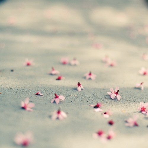 告白時(shí)的文藝?yán)寺樵捑渥?超浪漫的文藝愛(ài)情句子2