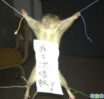 笑死人的說說帶圖片帶文字 逛街時(shí)的你和你的朋友16