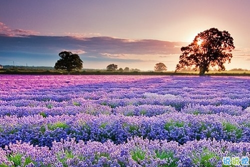 2019女生節(jié)微信說說大全帶圖片 三七女生節(jié)朋友圈祝福語說說12