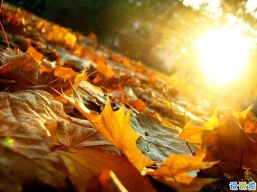 2019干凈唯美的說說帶圖片 最優(yōu)美好聽的朋友圈唯美說說15