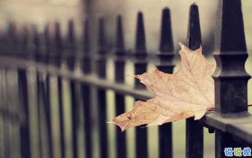 獨(dú)一無二微信個(gè)性說說帶圖片 路那么長少一些人也無妨12