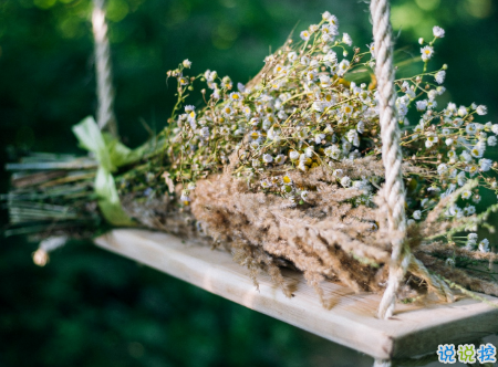 微信朋友圈治愈系早安心語說說 溫暖小清新早安說說大全1