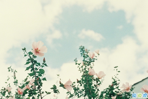 迎接2019的說說滿滿正能量帶圖片 與2018說再見用雙手去擁抱20197