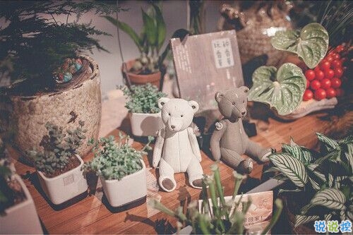 成長(zhǎng)之路上遇到的一些經(jīng)典哲理說(shuō)說(shuō)配圖 很有道理的精辟說(shuō)說(shuō)發(fā)朋友圈8