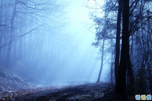 女生跟男朋友撒嬌的說說帶圖片 女生寫給男生的可愛情話8